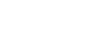 Qls logo white horizontal